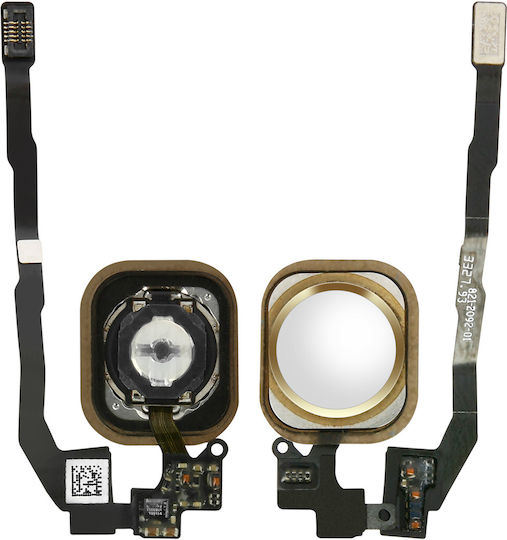 White Home Button + Flex Cable Replacement Part Apple Iphone 5s