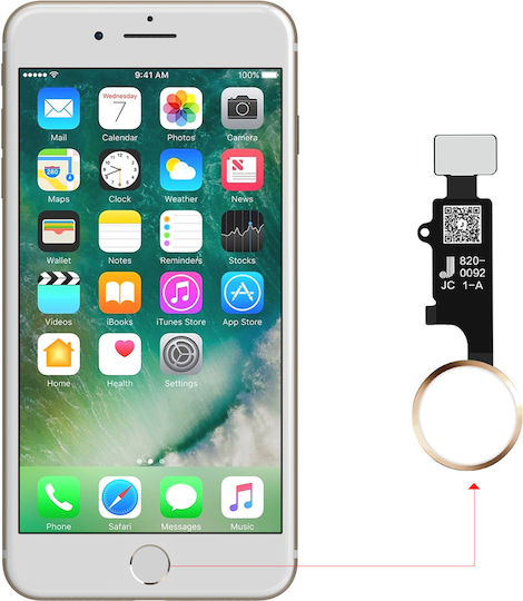 Clappio Home Button Iphone Se 2020 8 7 Main Connection Cable Gold