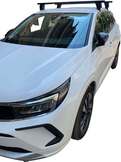 Menabo für Opel Grandland X 2017+ (mit Dachträgerfüßen) Schwarze