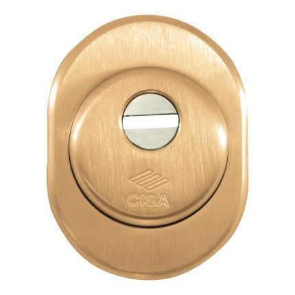 Cisa Defender Lock Armoured Door Gray