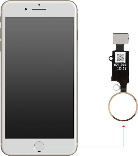Clappio Home-Taste iPhone SE 2020 8 7 Principal Gold