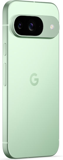 Google Pixel 9 5G (12GB/128GB) Wintergreen
