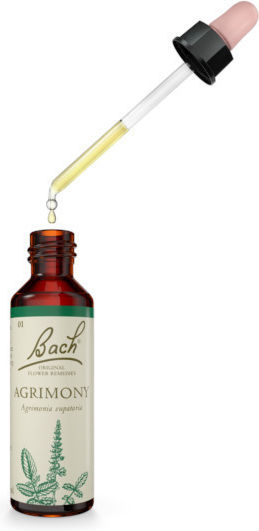 Bach Agrimony Συμπλήρωμα Διατροφής Εκχύλισμα Αγριμονιάς Εξισορρόπηση Σκέψεων & Συναισθημάτων 20ml
