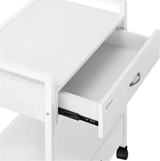 Cosmetic Hairdressing Trolley Helper 2 Drawers 2 Shelves 62.5 X 40 X 85.5 Cm