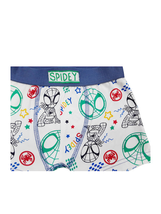 Disney Kids' Boxer Ice Grey