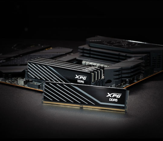 Adata Lancer DDR5 32GB RAM with 2x16GB Modules and Speed 5600 for Desktop