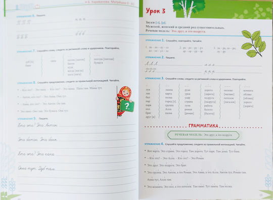 Matryoshka 0-a1 Introductory Phonetic Course Of The Language Rules For Reading And Writing Elementary Conversational And Grammar Course Karavanova N.b