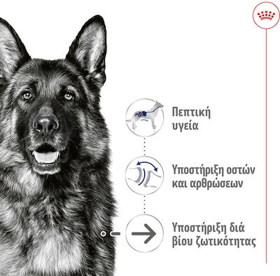 Royal Canin Maxi Ageing 5+ Пастет за възрастни кучета от големи породи над 5 години 410г