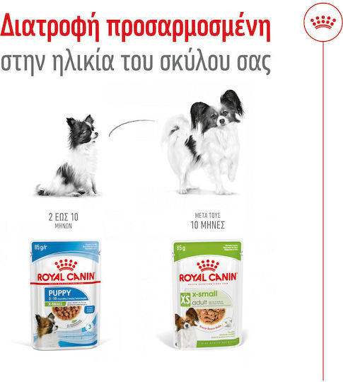 Υγρή Τροφή Royal Canin X Small Adult Gravy Σάλτσα Ενήλικες Σκύλους Πολύ Μικρόσωμων Φυλών Σωματικού Βάρους Έως 4 Kg 85gr