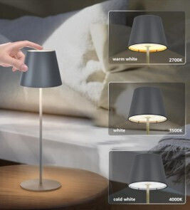 RayTech Φωτιστικό LED