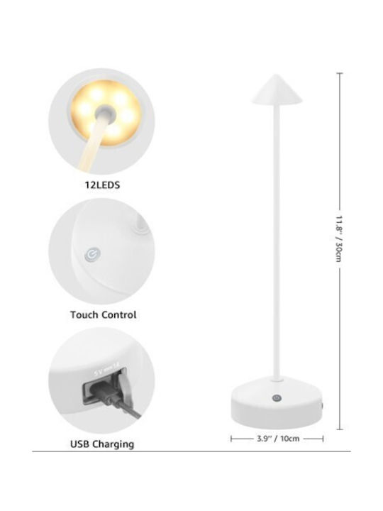 RayTech Διακοσμητικό Φωτιστικό LED 35εκ.