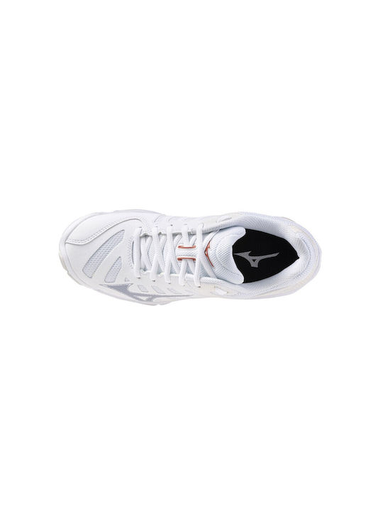 Wave Voltage 2 Sport Shoes Volleyball White / Bronze / Grey