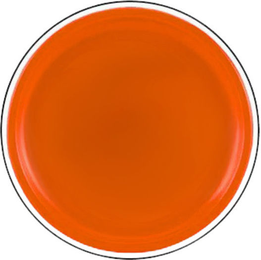 Flying Disc Frisbee Dinosaur Orange 20 Cm