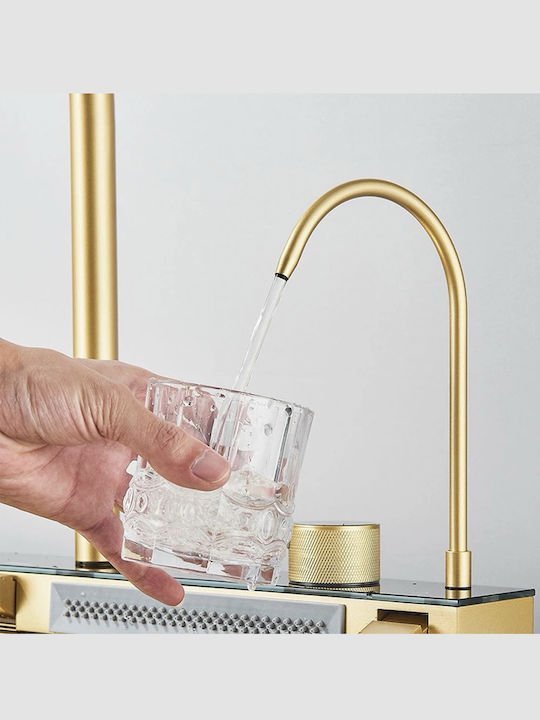 Naron Drop-In Мивка Inox Четкан със смесител Ш75xД46см Златист