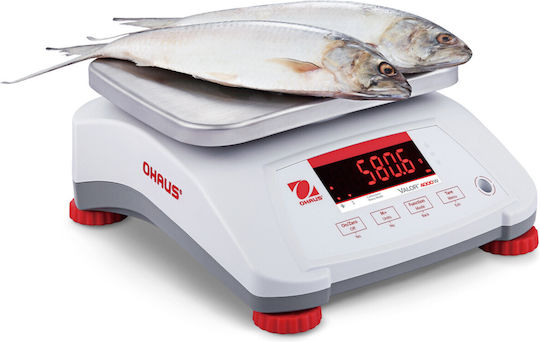 Cântar Valor 4000 Legalizat Impermeabil pentru Bucătărie Gastronomică Ip68 Led 3kg 1g Ohaus V41pwe3t