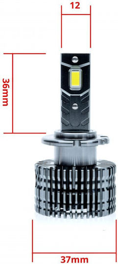 Lamps Car D2S Canbus LED 6000K Cold White 12-24V 45W 2pcs