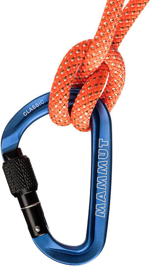Mammut Classic Hms Screw-gate Ροζ Καραμπίνερ Ασφαλείας