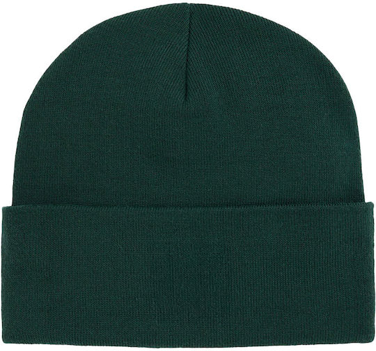 Recycled Kactusbunch Beanie Unisex Beanie Knitted in Green color