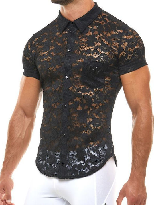 Modus Vivendi