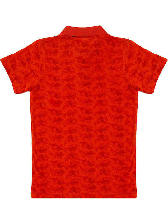 Polo Haki