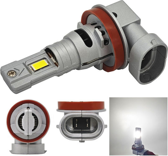 Lamps Car H8 Canbus LED 5000K Cold White 12V / 10V / 16V 2pcs