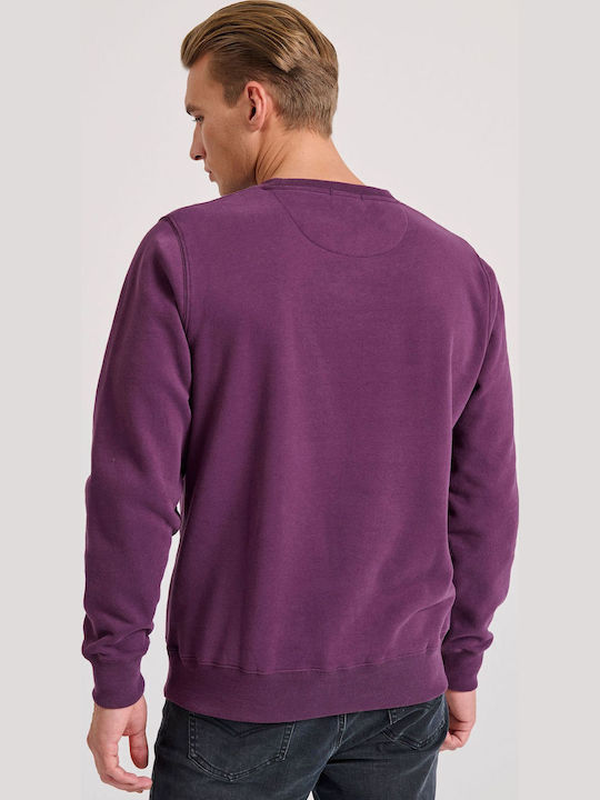 Sweatshirt Wine