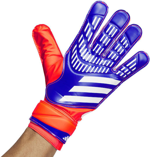 adidas Predator Training Голмански ръкавици за Възрастни Многоцветни