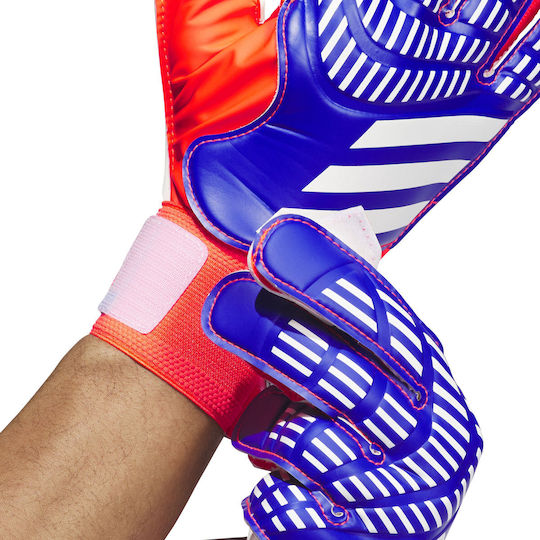 adidas Predator Training Голмански ръкавици за Възрастни Многоцветни