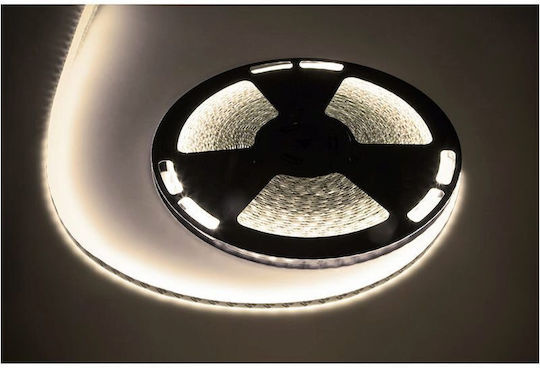 LED Strips Neutral White Length 25 M 12V DC Power 140W 18000 Lm IP65