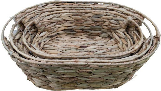 Lalos Set of 3 Wicker Baskets Fiji Dark Natural 9151