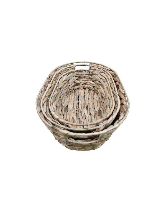 Lalos Set of 3 Wicker Baskets Fiji Dark Natural 9151