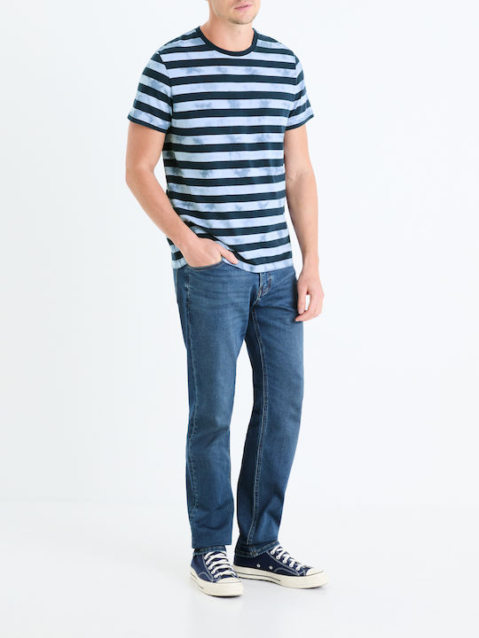 Celio