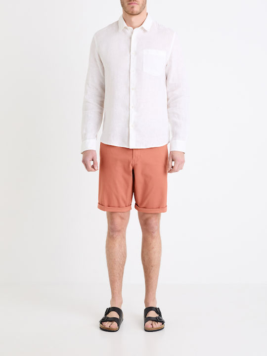 Celio Celio