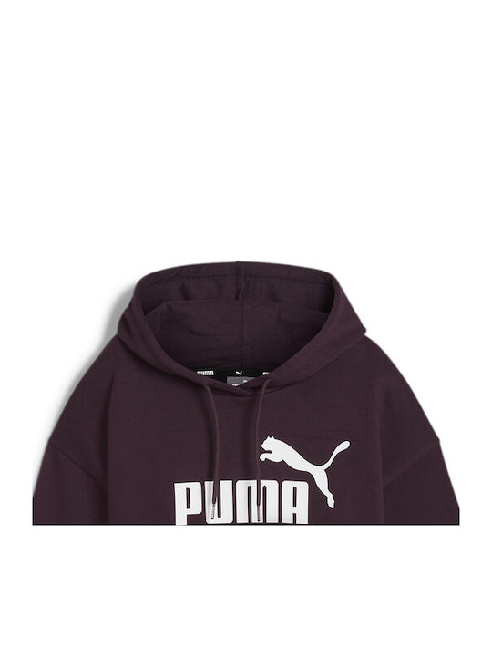 PUMA Logo Φούτερ Μπορντό με Κουκούλα