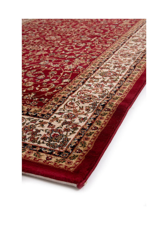 Royal Carpet Teheran 3647 Teppich Rechteckig Red