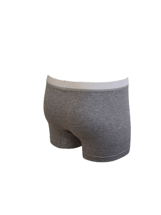 Apple Boxer Men's Boxer Gray