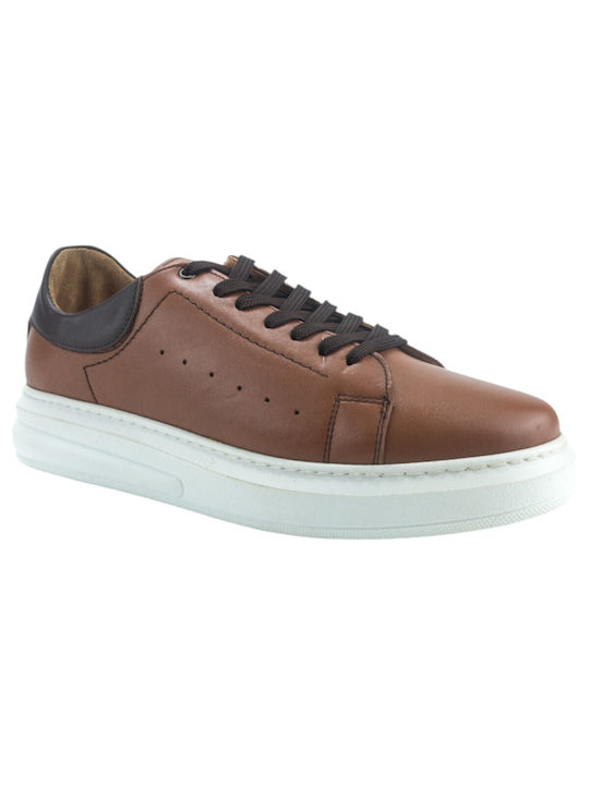 Gale Sneakers Tabac Brown