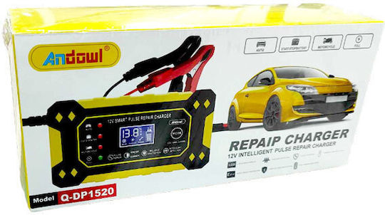 Andowl Car Battery Charger 12V