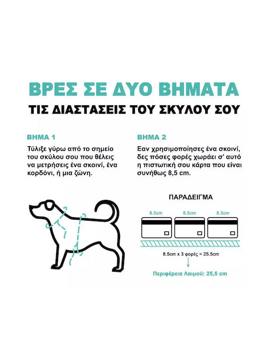Zee Dog Σαμαράκι Σκύλου Κίτρινο Medium 041-702828