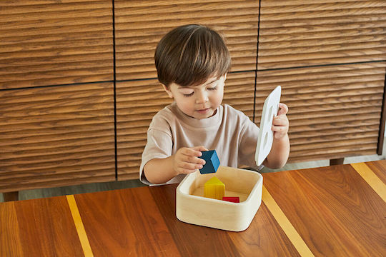 Plan Toys Παιχνίδι Ταξινόμησης Σχημάτων από Ξύλο