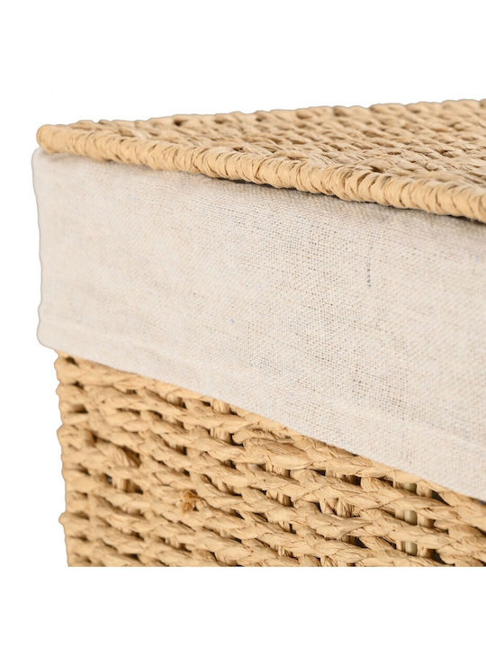 Estia Botanica Laundry Basket Wicker with Cap 38x22x55cm Beige