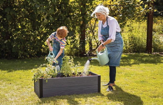 Keter Elevated Vegetable Garden Graphite Maple Trough 106 X 50 X 32cm