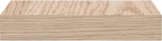 Wandregale Braune 2Stücke 23x23.5x4cm