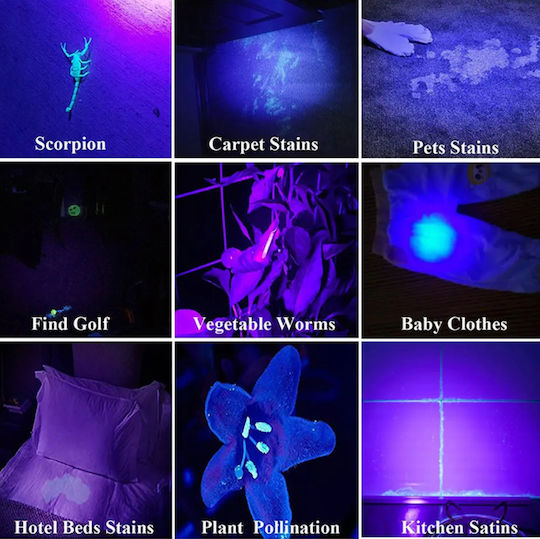 LED UV Taschenlampe Zola Wasserdicht Aluminium 51 LEDs Länge 15 cm Schwarz