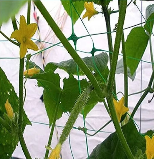 Climbing Plant Net Zola Cucumbers Peas Beans Other Vegetables Uv Resistant 2x 10 M