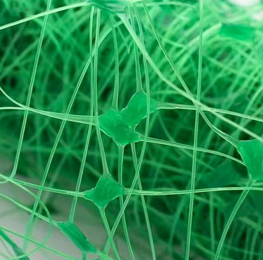 Climbing Plant Net Zola Cucumbers Peas Beans Other Vegetables Uv Resistant 2x 10 M