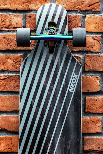 Raven Complete Longboard Πολύχρωμο
