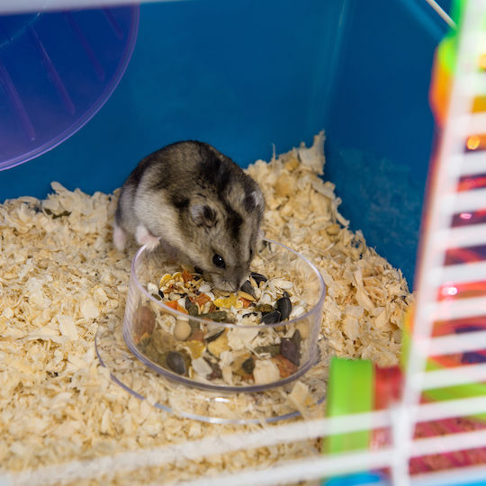 Pawhut Rodent Cage 59x36x69cm