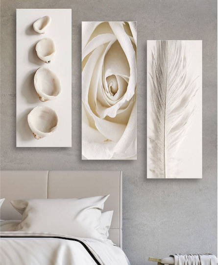 HomeMarkt Natural Elements Triplu Tablou Lemn 50x60cm