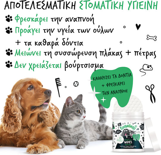 Προ Εμποτισμένα Πανάκια Στοματικής Υγιεινής Σκύλους & Γάτες 75τμχ